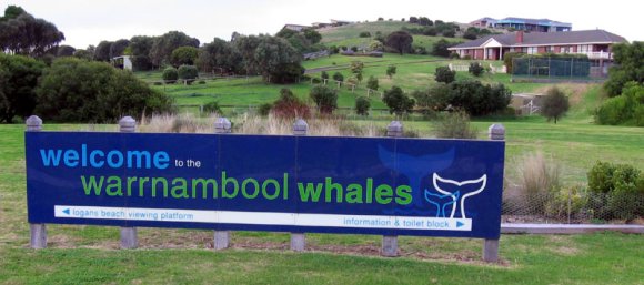 14 warrnambool whales sign