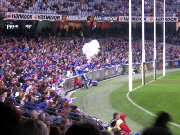 16 melbourne footy pompom2