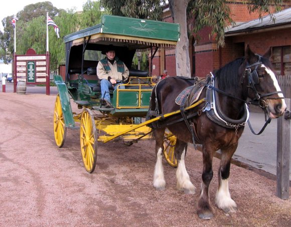 17 echuca carriage