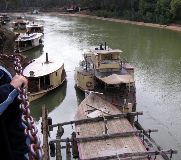 17 echuca logging barge3