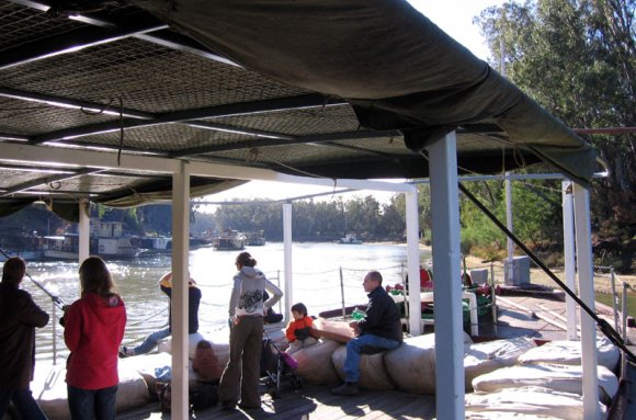 17 echuca paddle boat others