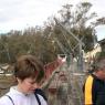 17 echuca