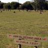 18 wildlife field2