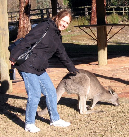 18 wildlife kangaroo carol000