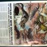 18 wildlife reptiles sign