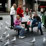 20 sydney lunch with pidgeons