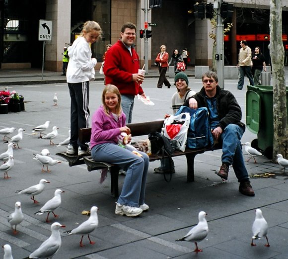 20 sydney lunch with pidgeons