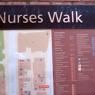 20 sydney nurses walk sign
