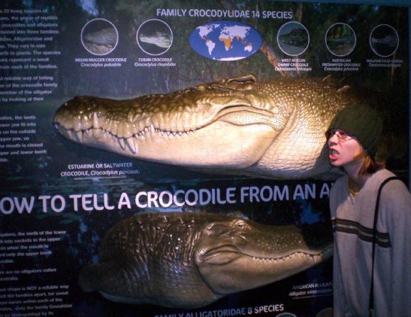 20 Sydney Aquarium Beccas mean teeth