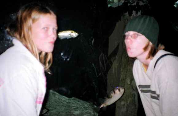 20 Sydney Aquarium kirsten becca fish