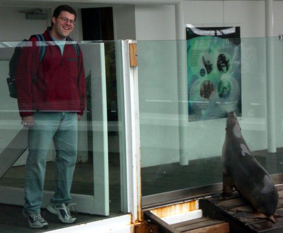 20 Sydney Aquarium seals Nate