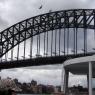 20 sydney harbour bridge0
