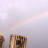21 sydney rainbow 0