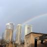 21 sydney rainbow double