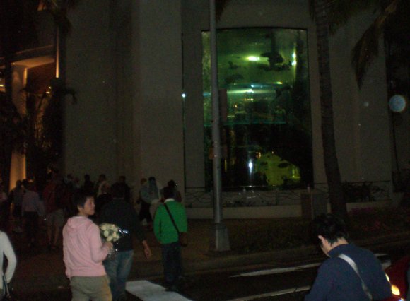 27 mall aquarium