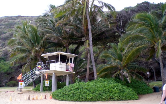 11 hanauma bay lifeguard