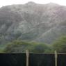 12 diamondhead