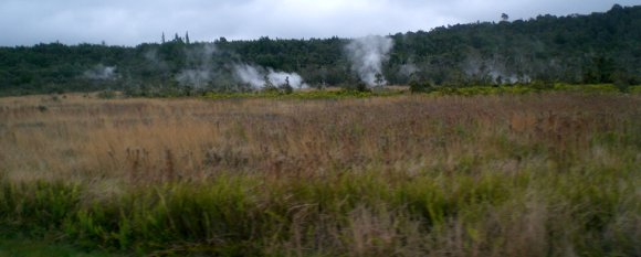 17 steam vents