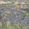 19 petroglyphs3
