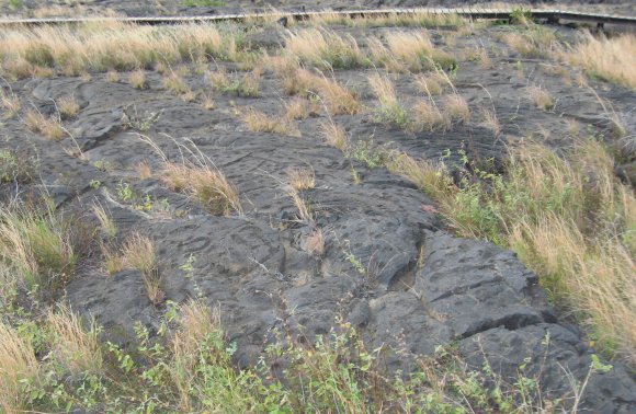 19 petroglyphs3