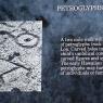19 petroglyphs