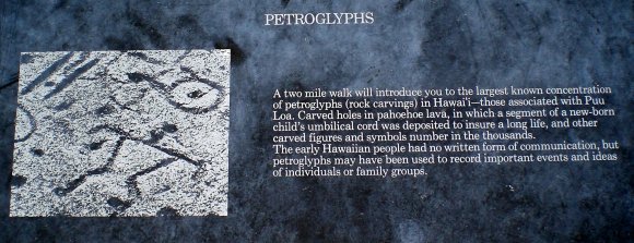 19 petroglyphs