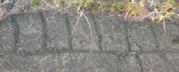 21 petroglyph lines