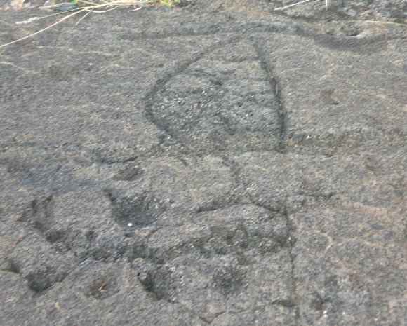 23 petroglyph boat