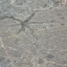 24 petroglyph star
