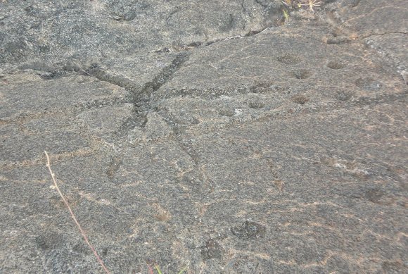 24 petroglyph star