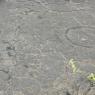 25 petroglyph circle