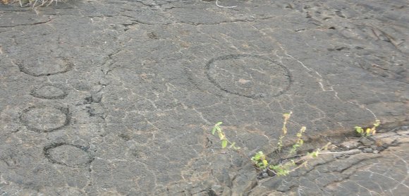 25 petroglyph circle