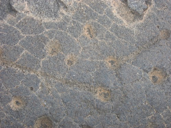 26 petroglyph holes5