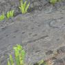 26 petroglyph holes7
