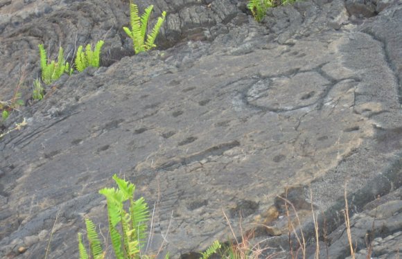 26 petroglyph holes7