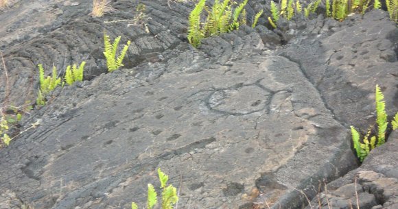 26 petroglyph holes