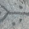27 petroglyph tall