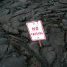 11 no parking3