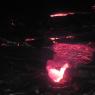 39 night vision10