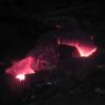 39 night vision2