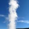 16 old faithful