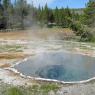 20 crested pool