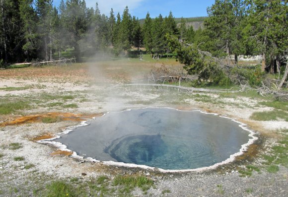 20 crested pool