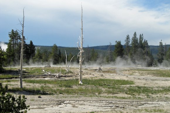 30 geyser area