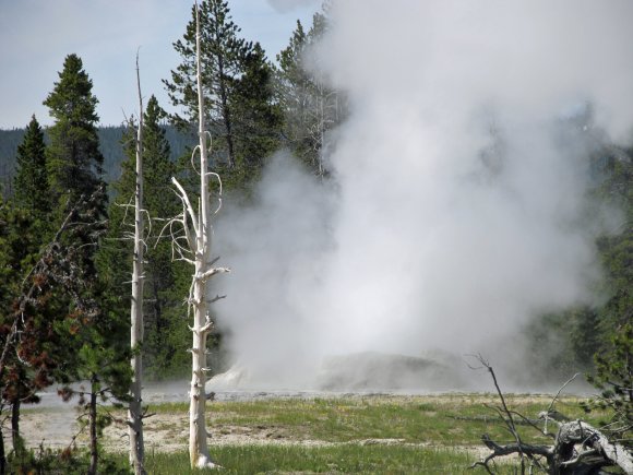 33 grotto geyser