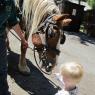 10 horse hannah