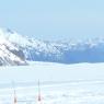 17 juneau dog sled