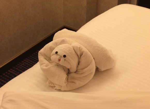 51 towel bear