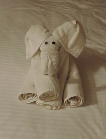 53 towel elephant