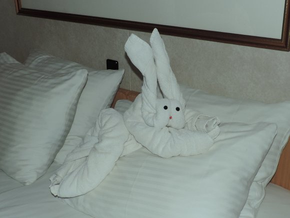 57 towel rabbit